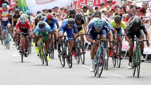 Fedeciclismo