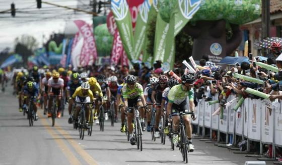 Fedeciclismo