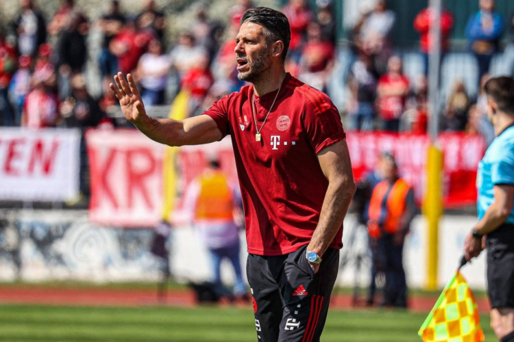 Demichelis