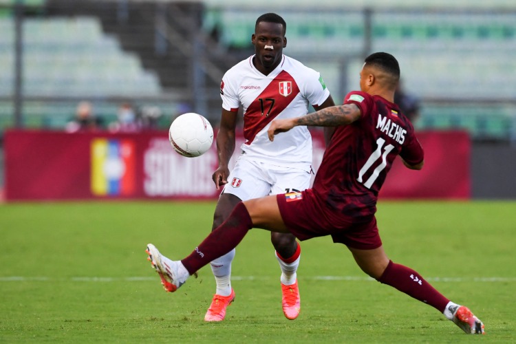 vinotinto