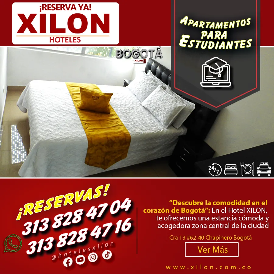 xilon b 04 06_11zon