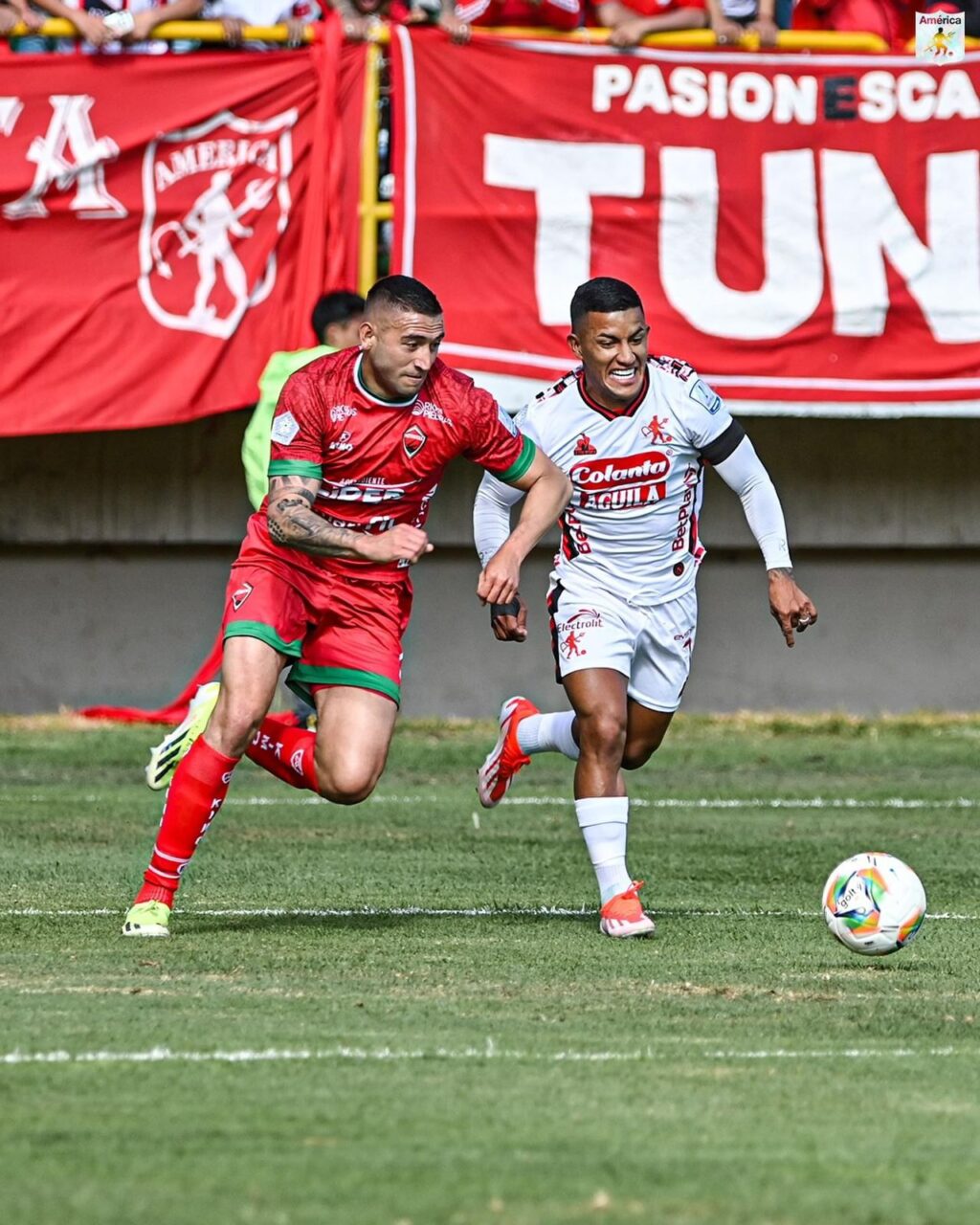 Imagen de WhatsApp 2024-08-05 a las 19.22.46_531d1f0c