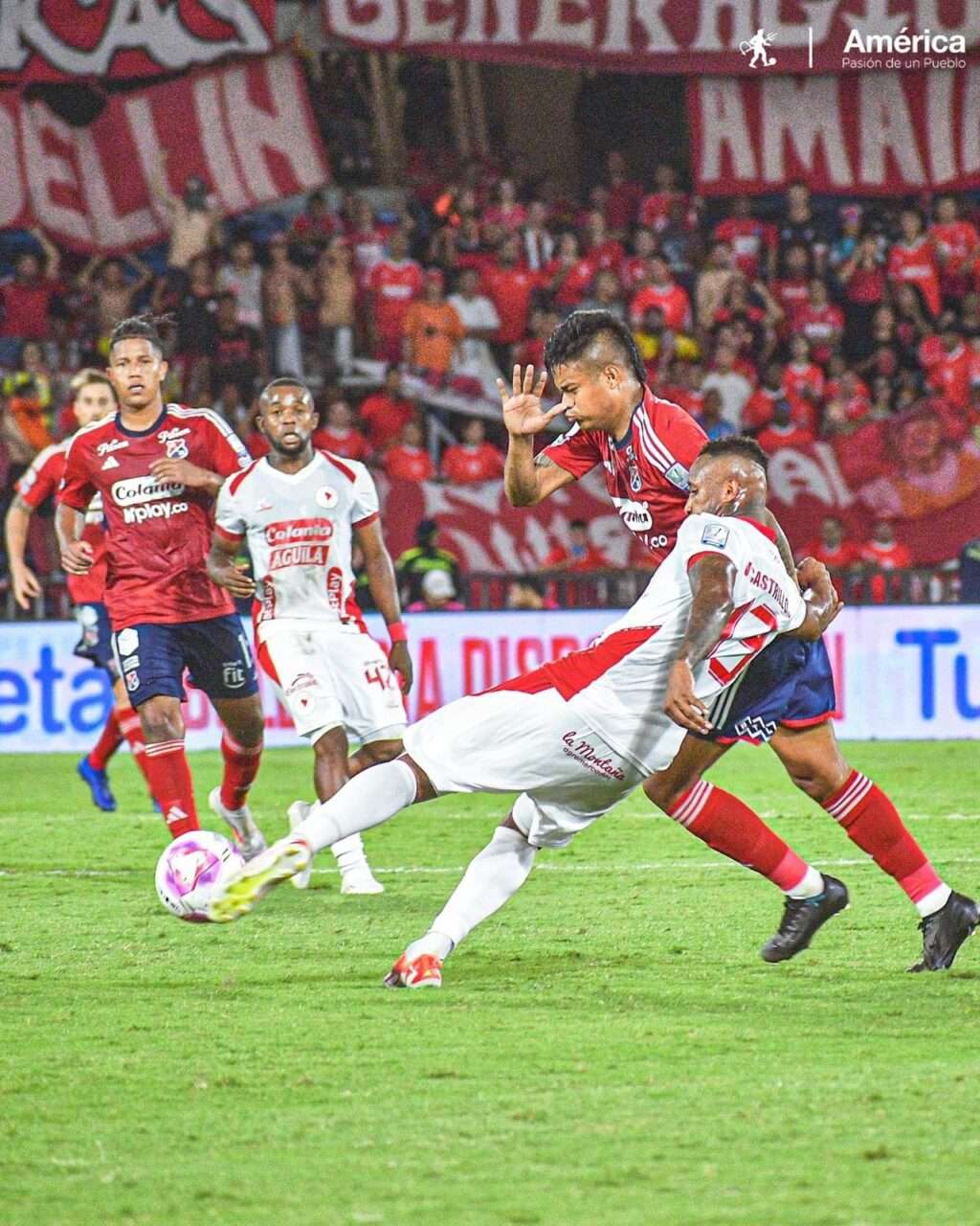 Imagen de WhatsApp 2024-10-15 a las 19.15.12_6af31c39