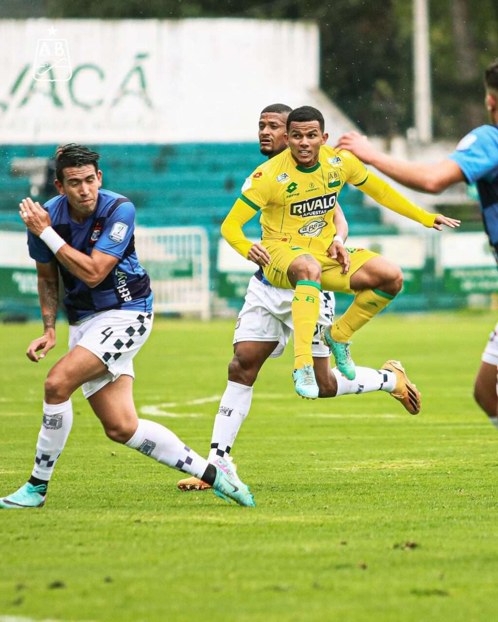 Imagen de WhatsApp 2024-11-08 a las 22.32.33_bf6d29a4