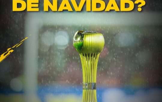 Imagen de WhatsApp 2024-11-23 a las 23.03.15_9b4c4733