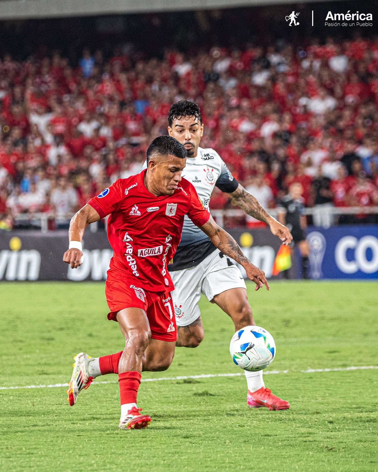 488704746_18503004025038591_7947823906920299113_n