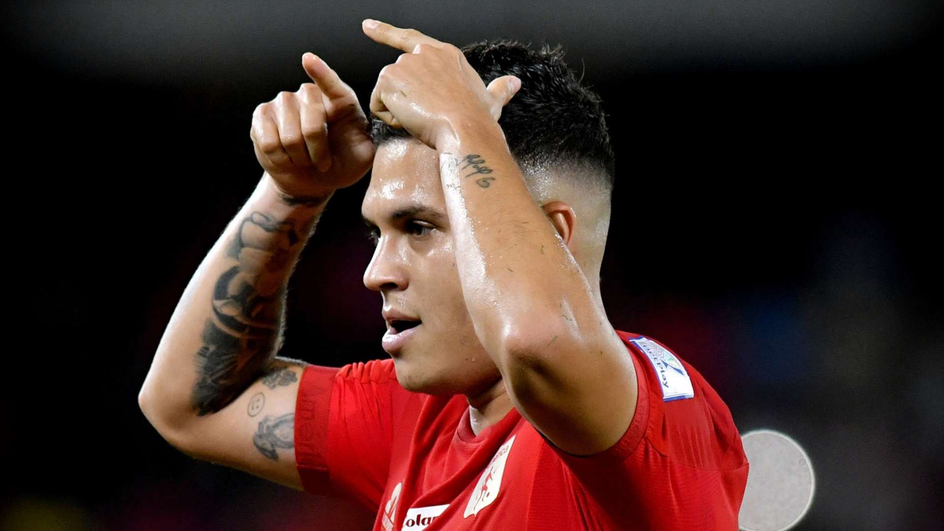 QUINTEROGOLEADOR