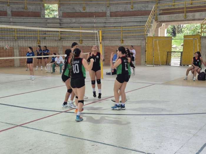 intercolegiados