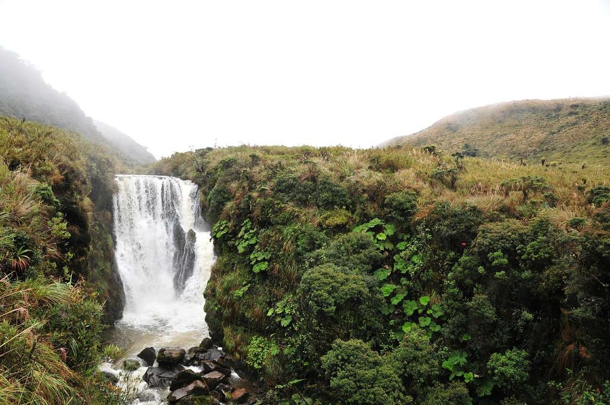 parque-natural-de-purace