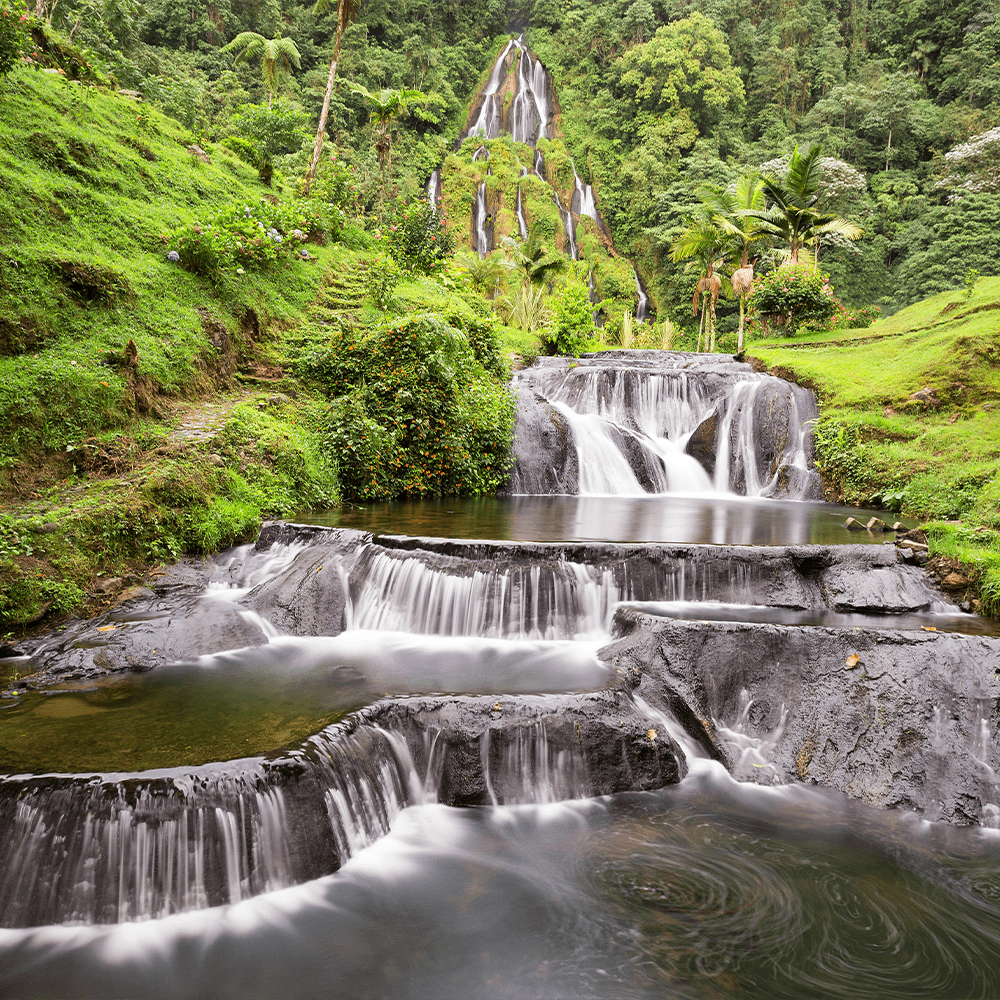 risaralda_1_1