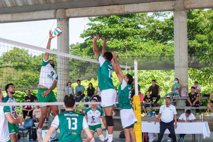 voleibol