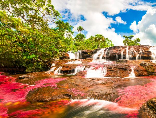 Tres parques naturales imperdibles en la Orinoquía colombiana, un tesoro natural que alberga los paisajes más impresionantes del país.