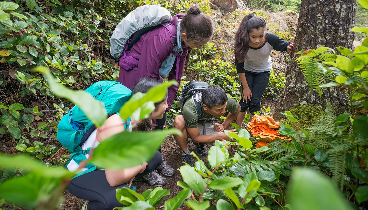 iStock-Env-Education