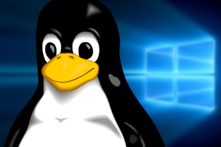 Linuxfx 2025: el “Windows de Linux” se renueva