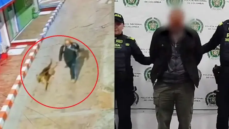 Abusadordeperros