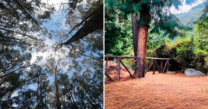 Sendero ecológico en Bogotá que invita al descanso, la contemplación y el contacto directo con la naturaleza.