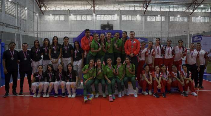 voleibol