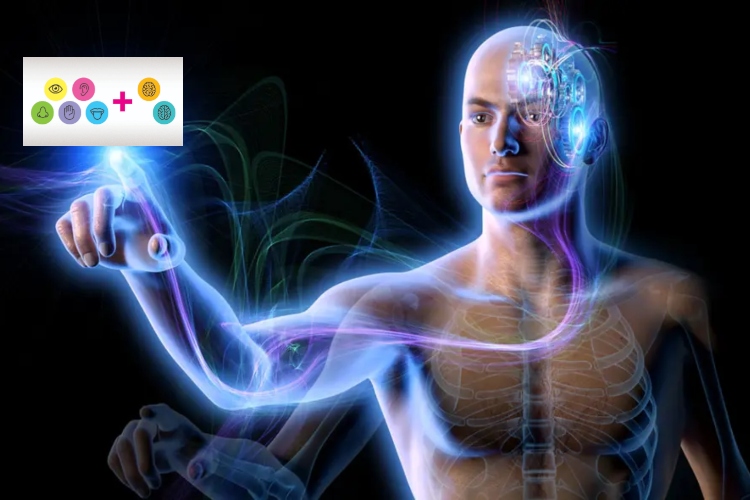 Descubren un séptimo sentido humano capaz de detectar objetos sin tocarlos