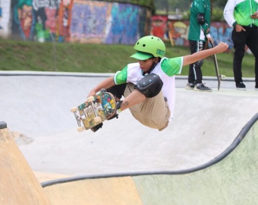 SKATEBOARDING-02-528x420