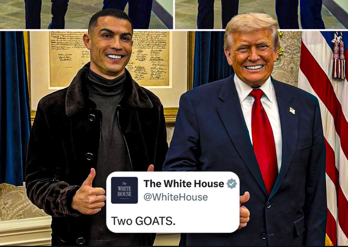goats