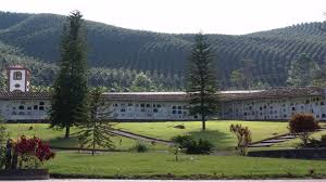 Concordia (Antioquia), uno de los grandes productores de café del suroeste antioqueño como referente en producción de café