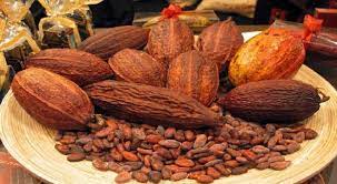 Fruto de Cacao: el chocolate amazónico colombiano que conquista París