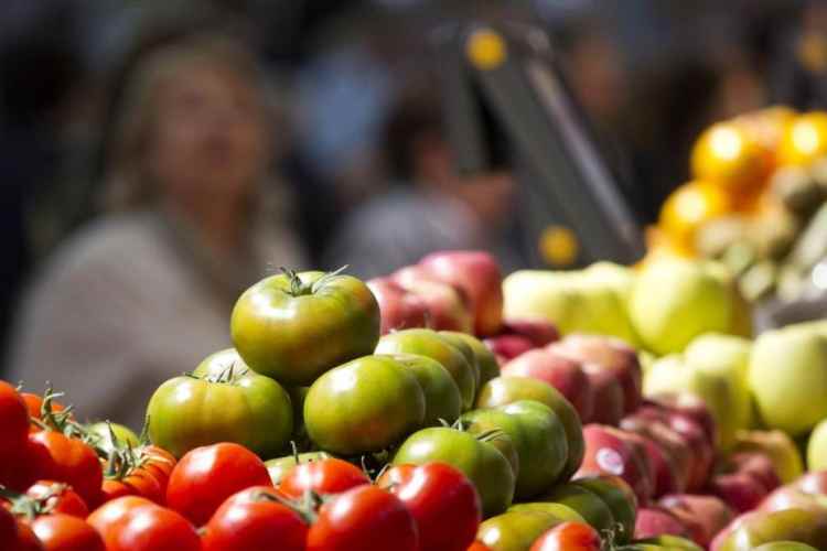 Desechos de tomate se convierten en combustible limpio para aviones