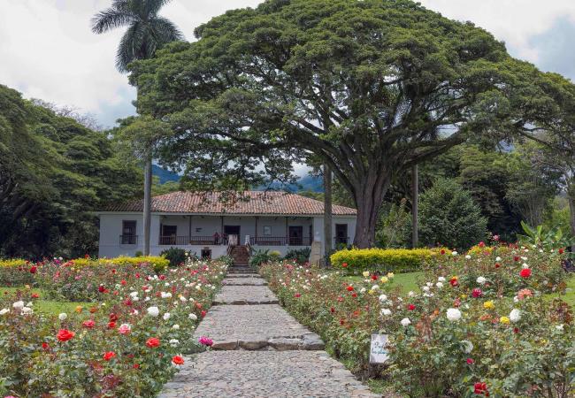 El Cerrito, Valle del Cauca: el pueblo de la célebre novela María y un paraíso para los amantes de la aventura