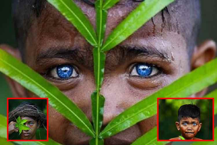 La tribu indonesia de ojos azules que asombra al mundo_ el impacto del síndrome de Waardenburg en Bu