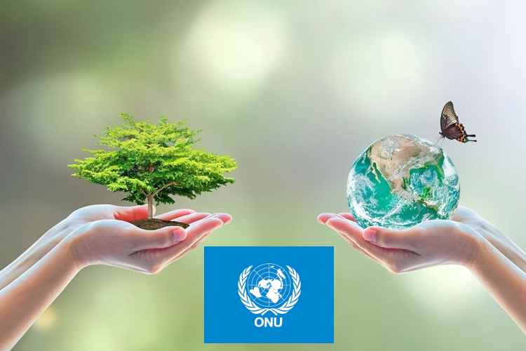 ONU pide US$700.000 millones anuales para salvar la biodiversidad