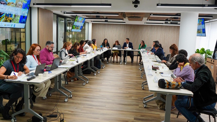 Panel-de-expertos