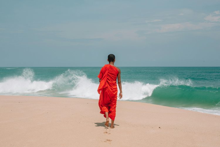 meditar