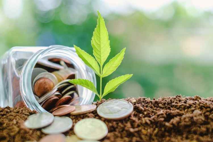 Modelo económico de US$100 millones contra la crisis climática