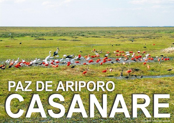 Paz_de_Ariporoimagen_t