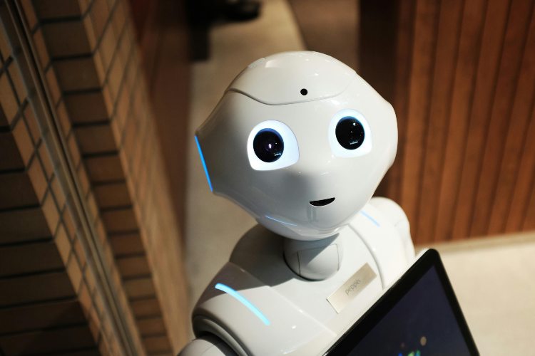 bot (1)