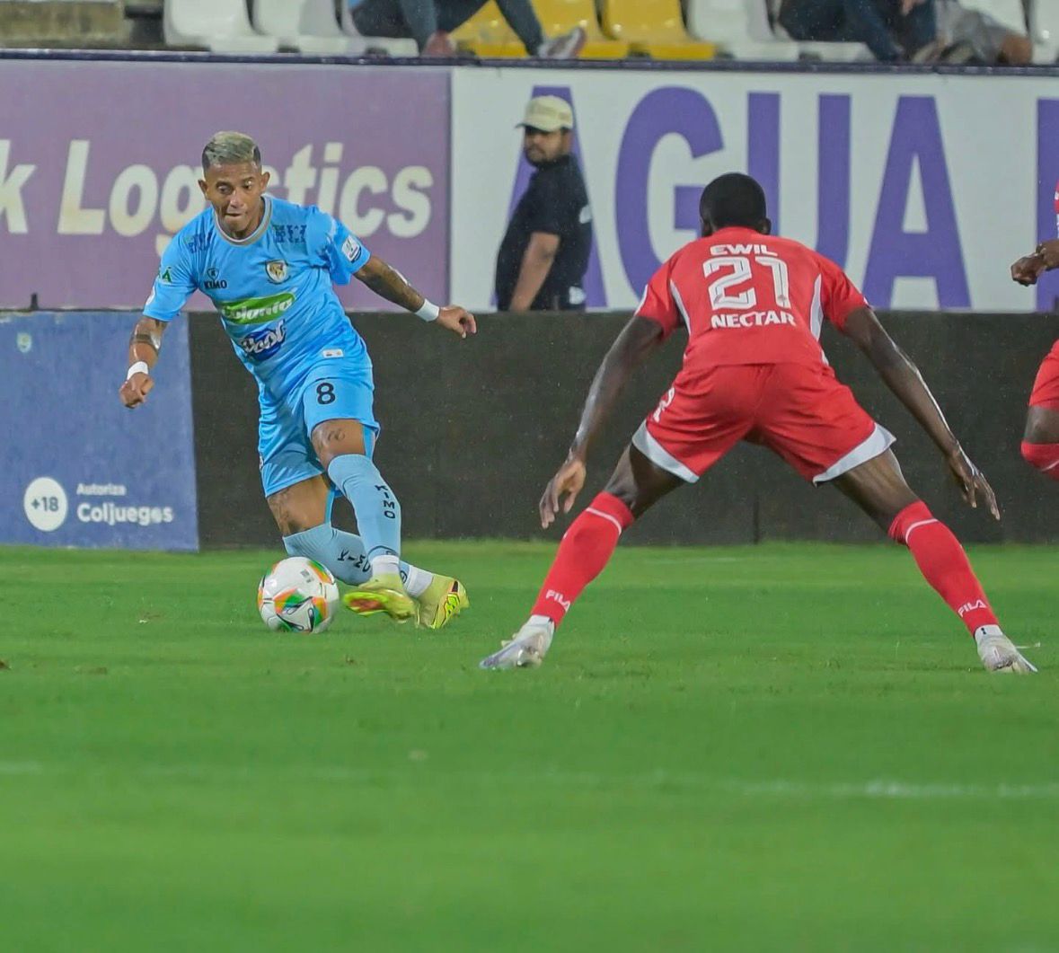 jaguares