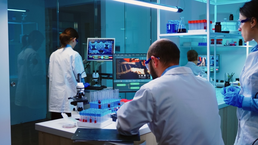 lab