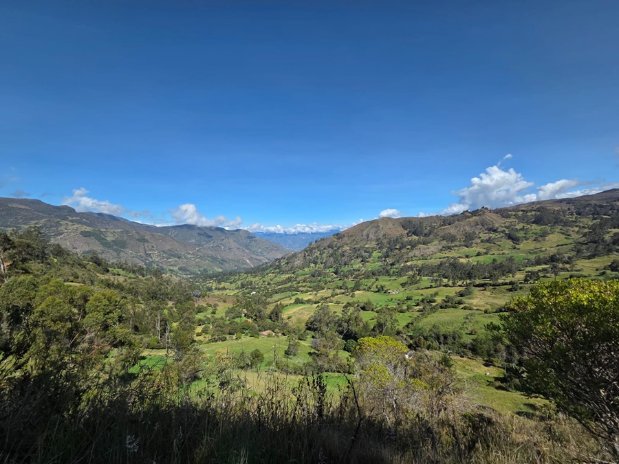 reserva forestal