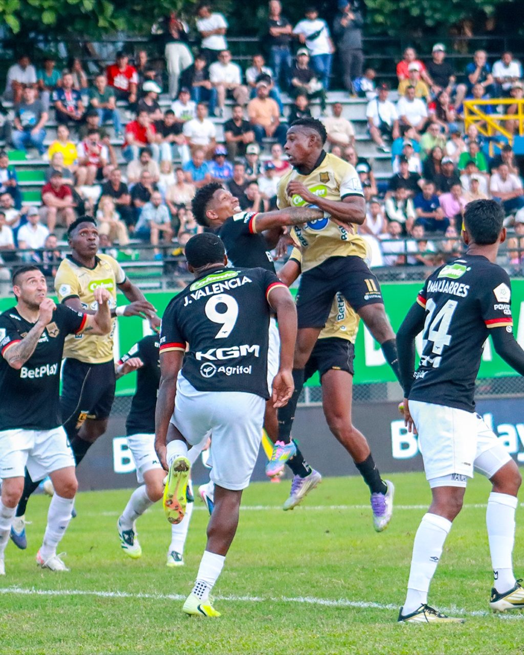AGUILAS