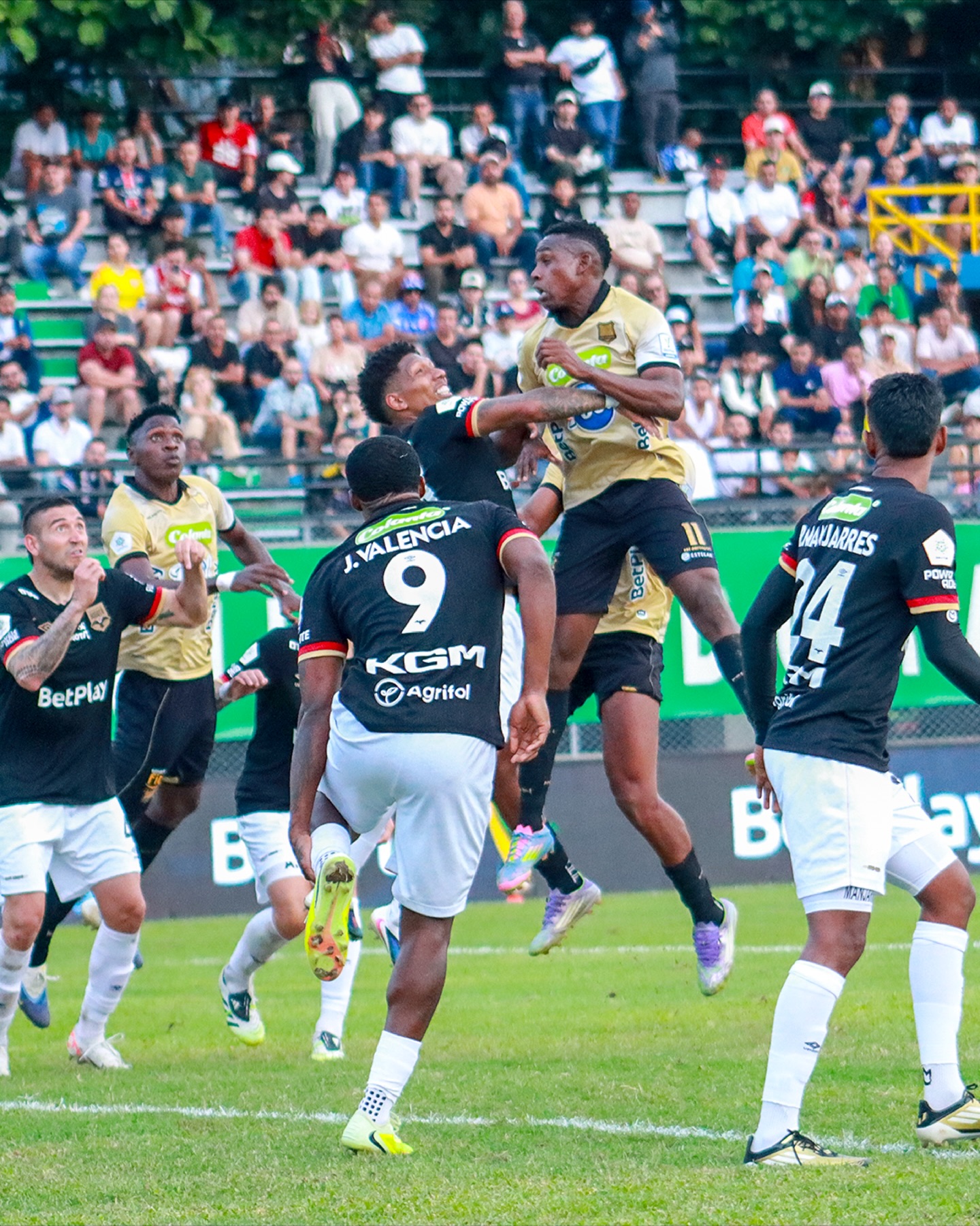AGUILAS