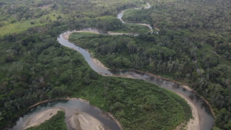 Buscan a cinco hermanos que permanecen ocultos en la selva para evitar reclutamiento