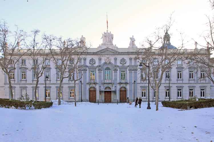 Supremo pide tipificar abandono de discapacitados físicos