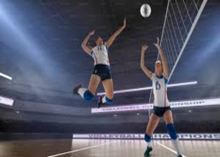 voleibol