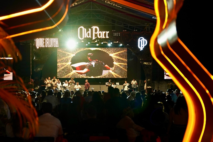Agenda cultural en epicentro del Festival Vallenato una experiencia para todos