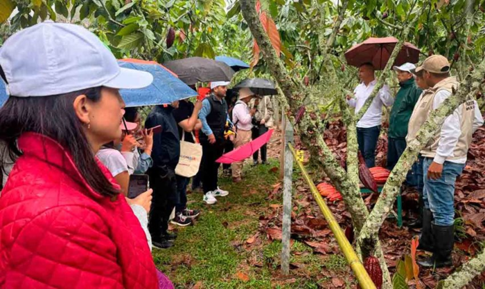 Colombia-fortalece-su-posicionamiento-internacional-en-sostenibilidad-con-cafe-y-cacao-libres-de-deforestacion