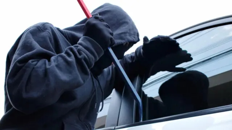 Delincuentes roban camioneta y huyen con la mascota de una familia bogotana
