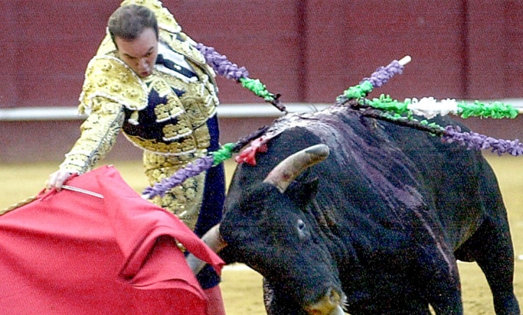 Fallece el torero Ricardo Ortiz tras una trágica cornada en Málaga