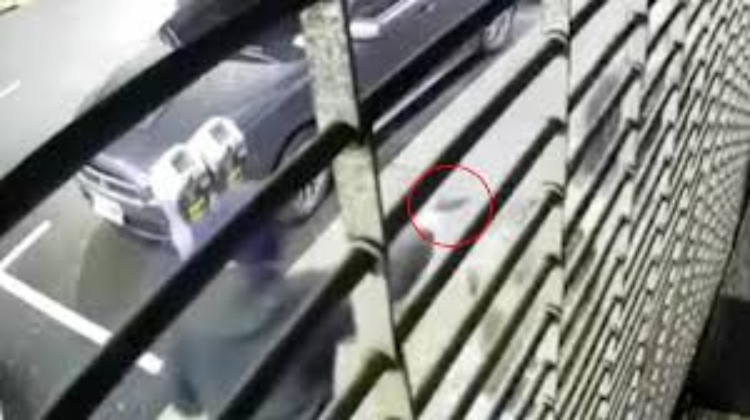 Nueva York identifica al tirador de una bebé de siete meses y busca intensamente a su cómplice