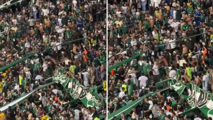 Repudio total ante agresión de un supuesto hincha del Cali contra un seguidor del América