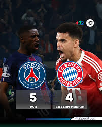 bayer paris
